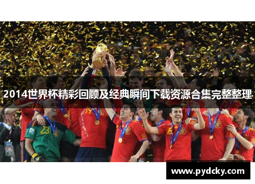 2014世界杯精彩回顾及经典瞬间下载资源合集完整整理