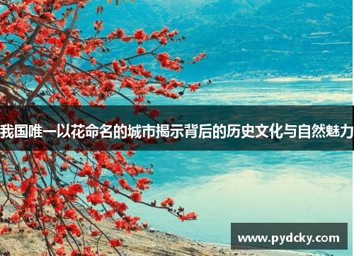 我国唯一以花命名的城市揭示背后的历史文化与自然魅力
