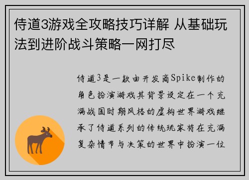 侍道3游戏全攻略技巧详解 从基础玩法到进阶战斗策略一网打尽